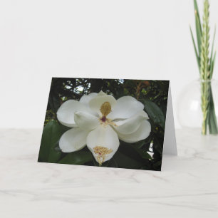 Cartão de Nota Magnolia Blossom