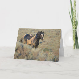 Cartão de Nota Mais Duro Que o Restante