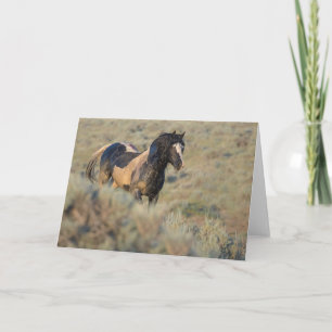 Cartão de Nota Mais Duro Que o Restante