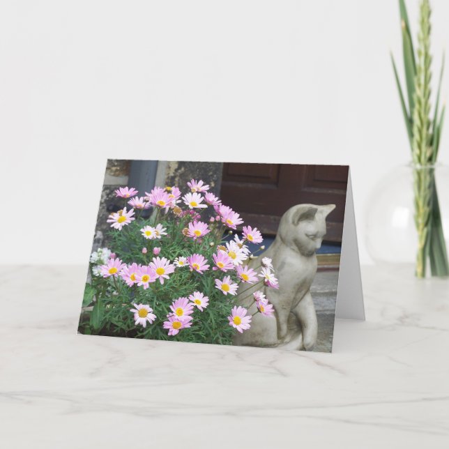 Cartão de nota: Margaridas cor-de-rosa (Frente)