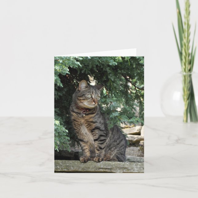 Cartão de nota: Minnie (Frente)