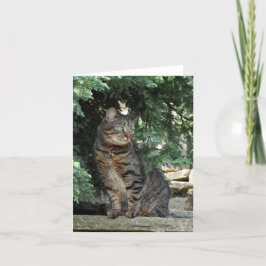 Cartão de nota: Minnie