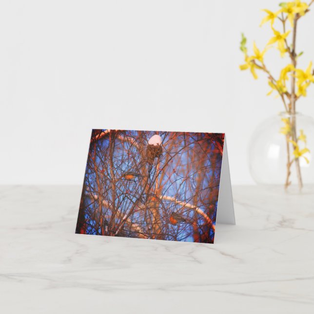 Cartão de Nota Natureza de Robins de inverno (Flor Amarela)