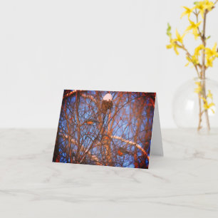 Cartão de Nota Natureza de Robins de inverno