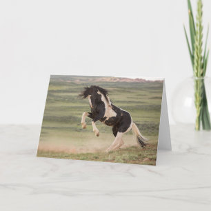 Cartão de Nota "Nunca o Guerreiro"