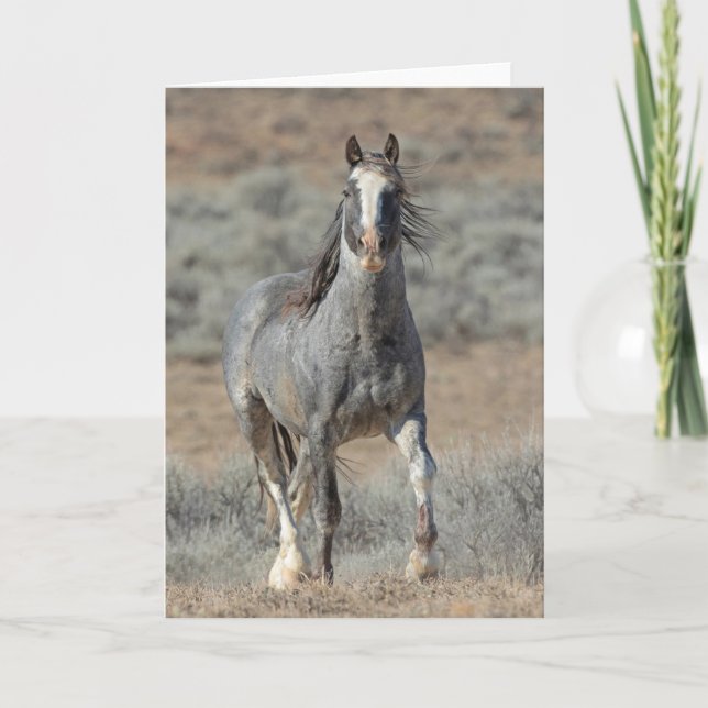 Cartão de Nota "O Real Selvagem" (Frente)