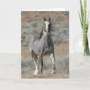 Cartão de Nota "O Real Selvagem"