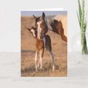 Cartão de Nota "Olá Bebê"