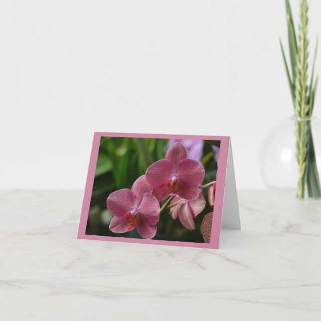 Cartão de Nota Orquídea Rosa (Frente)
