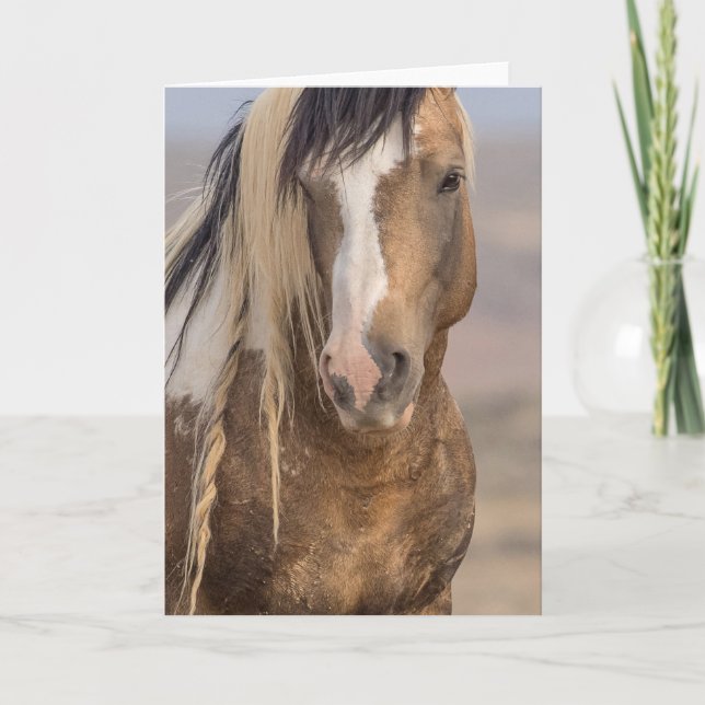 Cartão de Nota "Ouro" (Frente)