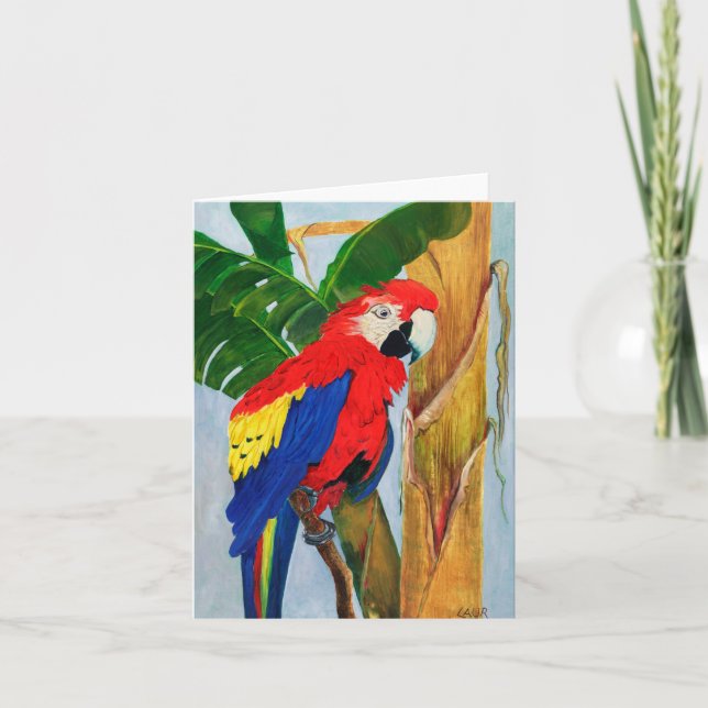 Cartão de Nota - Papagaio Tropical (Frente)