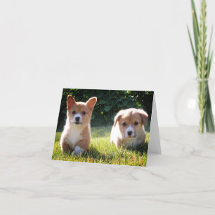 Cartão De Nota Para Cachorro De Corgi (Pembroke We