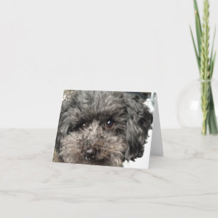 Cartão de Nota para Cachorro Familiar