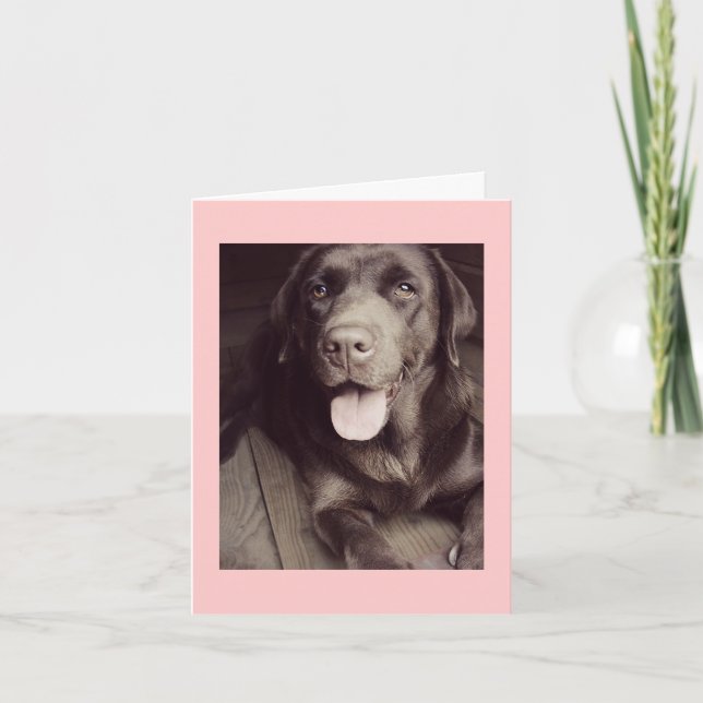 Cartão De Nota Para Cachorros De Labrador Preto E  (Frente)