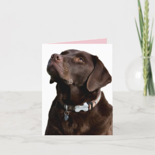 Cartão de Nota para Cão de Chocolate Labrador Retr
