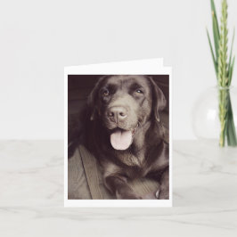 Cartão de Nota para Cão de Chocolate Labrador Retr