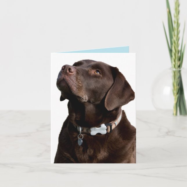 Cartão de Nota para Cão de Chocolate Labrador Retr (Frente)
