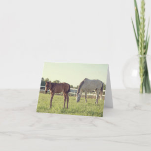 Cartão de Nota para Cavalos Mare & Foal