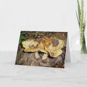 Cartão de Nota para Cogumelos Marrons ouros