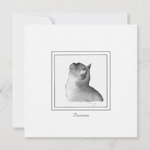 Cartão de Nota para Gato Burmanês Preto e Branco