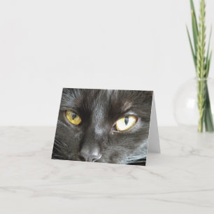 Cartão de Nota para Gato Negro