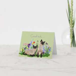 Cartão de Nota para Gatos Siameses