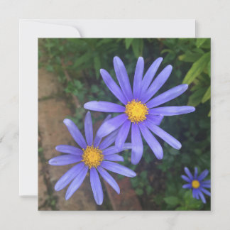 Cartão de Nota para Jardim Inglês