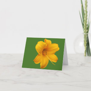 Cartão de Nota para o Dia Lily