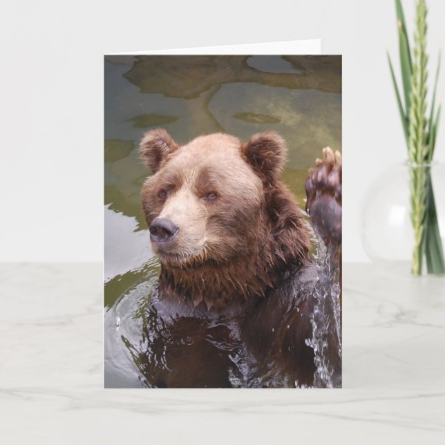 Cartão de Nota para Urso Marrom Bathing (Frente)