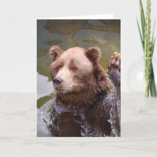 Cartão de Nota para Urso Marrom Bathing