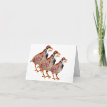 Cartão de Nota: Partridge