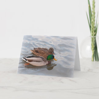 Cartão de nota: Patos do pato selvagem