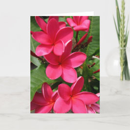 cartão de nota - plumerias cor-de-rosa