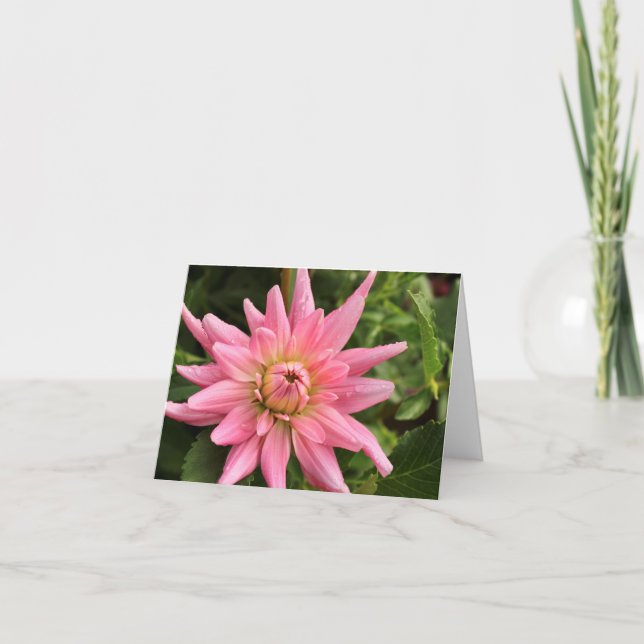 Cartão de Nota Rosa Dahlia 4x6 (Frente)