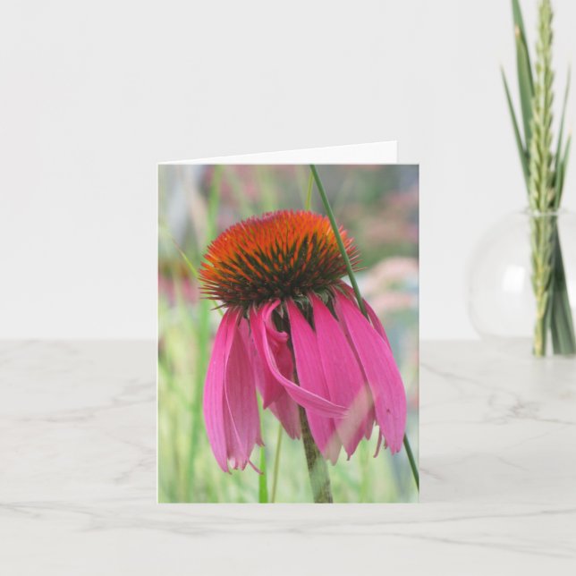 Cartão de nota roxo de Coneflower (Frente)