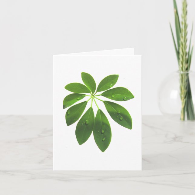 Cartão de nota Schefflera (Frente)