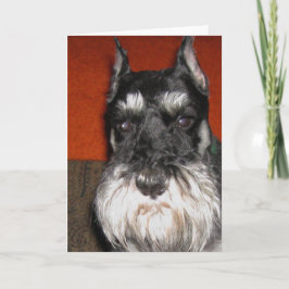 Cartão de Nota Schnauzer