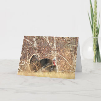 Cartão de nota selvagem de Turquia Tom