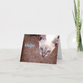 Cartão de nota Siamese do gatinho "olá! "
