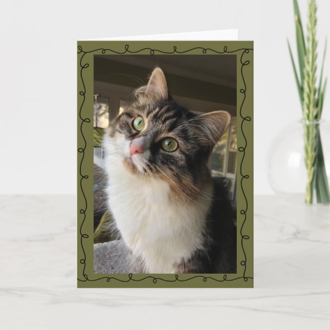 Cartão de nota Siberian bonito (Frente)