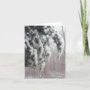 Cartão de nota Spruce nevado