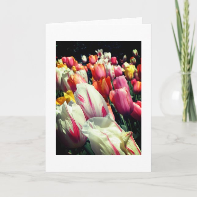 Cartão de nota tentador das tulipas (Frente)