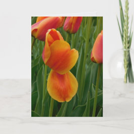 Cartão de Nota Tulipa Dourada Única