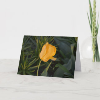 Cartão de Nota Tulipa Dourada Única
