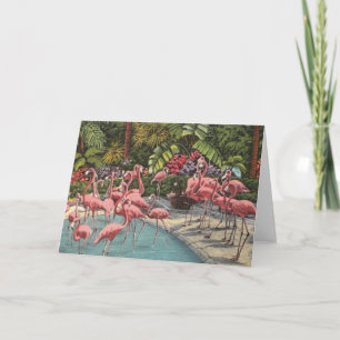 Cartão de Nota Uma Flamboyance de Flamingos