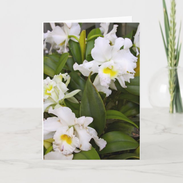 Cartão de nota vazio (Frente)