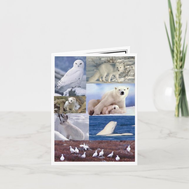 Cartão de nota vazio (Frente)