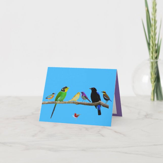 cartão de nota vazio com pássaros e cor (Frente)