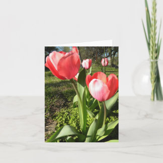 CARTÃO DE NOTA VAZIO DA TULIPA