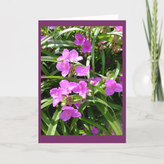 Cartão de nota vazio das flores II do Spiderwort